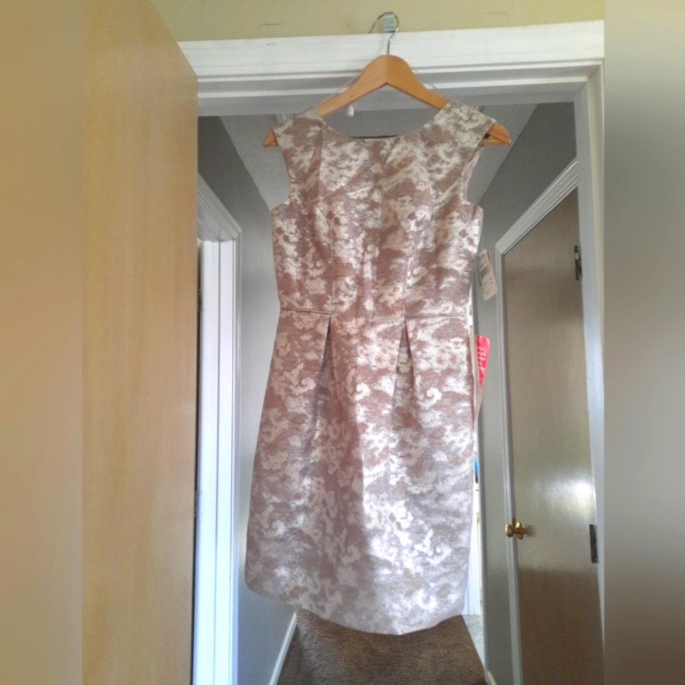 Elegant Cream Silver Gold Sleeveless Dress